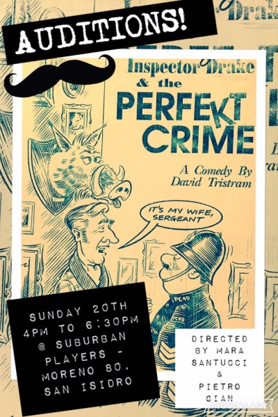 perfect crime audition poster